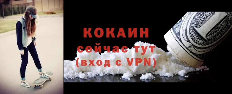 где купить наркотик  Новоузенск  гидра ссылки  это формула  Cocaine Columbia 