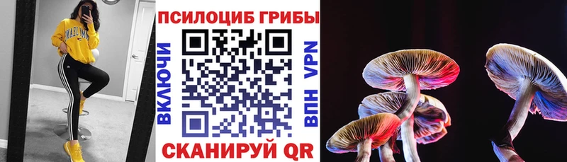 Псилоцибиновые грибы прущие грибы  Новоузенск 